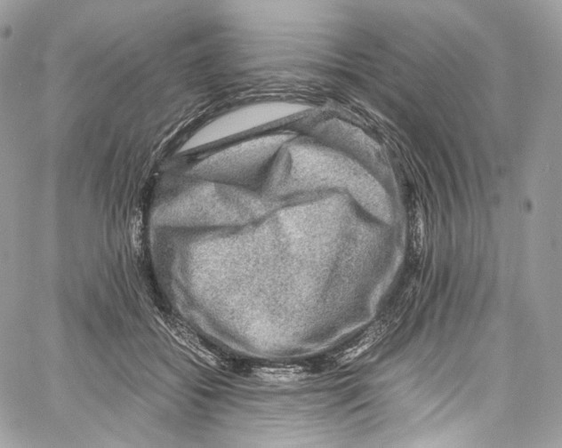 X0000067000556200604241407