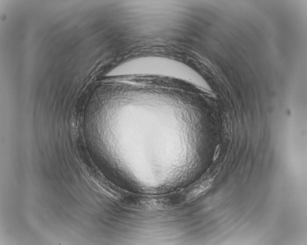 X0000067000558200604241407