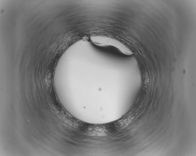 X0000067000559200604241407