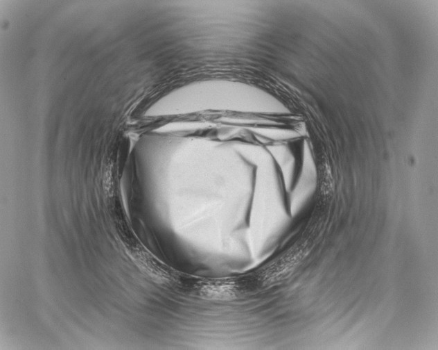 X0000067000560200604241407