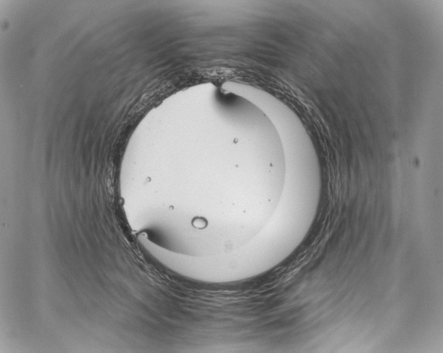 X0000067000561200604241407