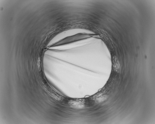 X0000067000563200604241407