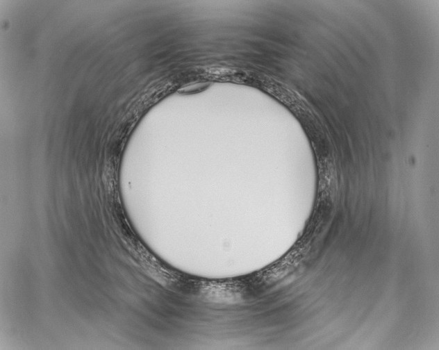 X0000067000565200604241407