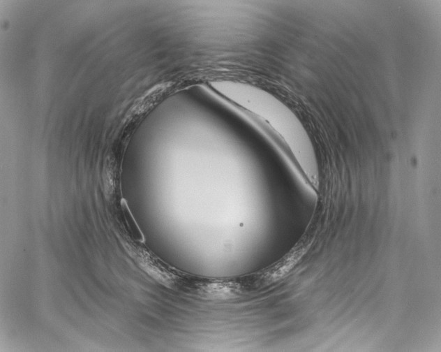 X0000067000566200604241407