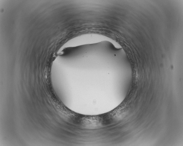 X0000067000567200604241407