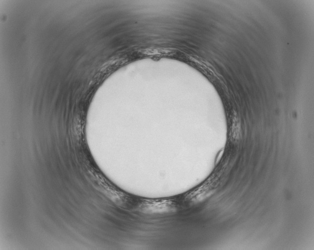 X0000067000569200604241407