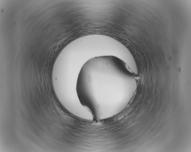 X0000067000570200604241407