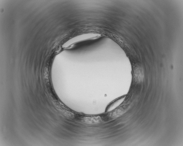 X0000067000571200604241407