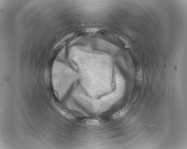 X0000067000572200604241407