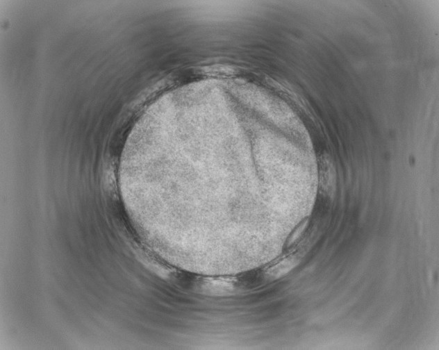 X0000067000573200604241407