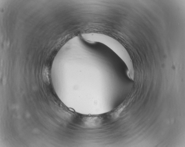 X0000067000575200604241407