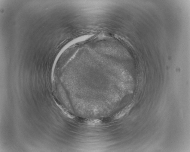 X0000067000576200604241407