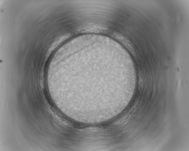 X0000067000578200604241406