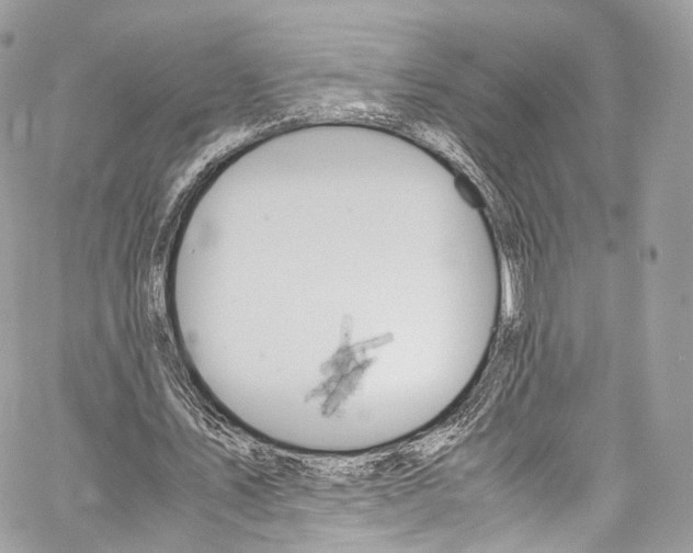 X0000067000579200604241406