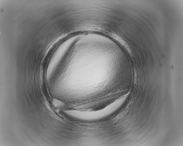 X0000067000580200604241406