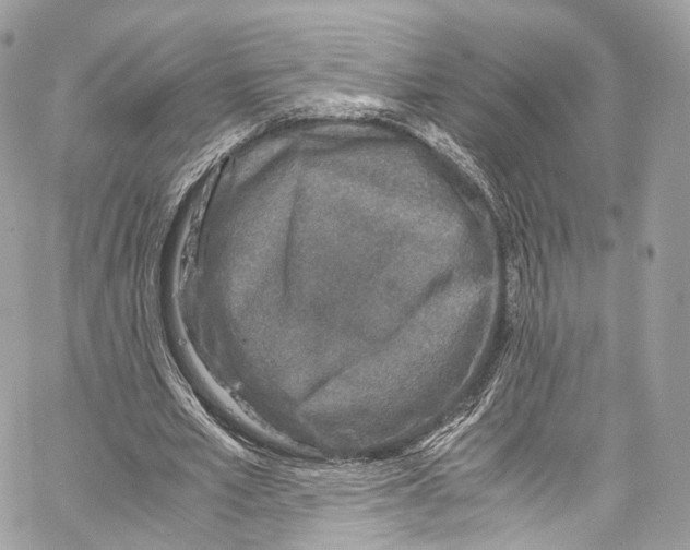 X0000067000581200604241406