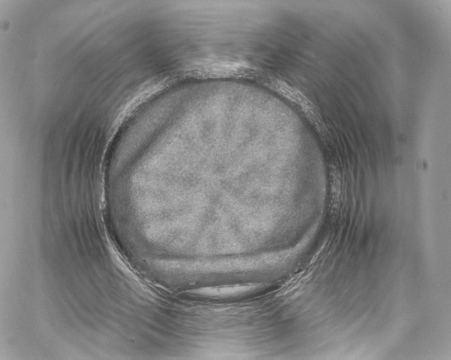 X0000067000582200604241406