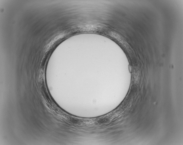 X0000067000583200604241406