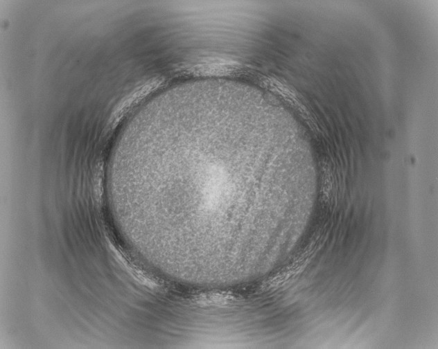 X0000067000586200604241406