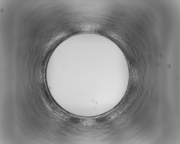 X0000067000587200604241406