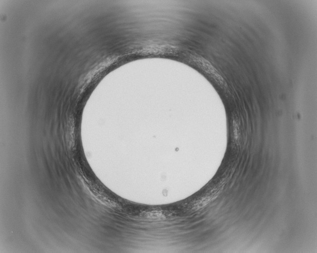 X0000067000588200604241406