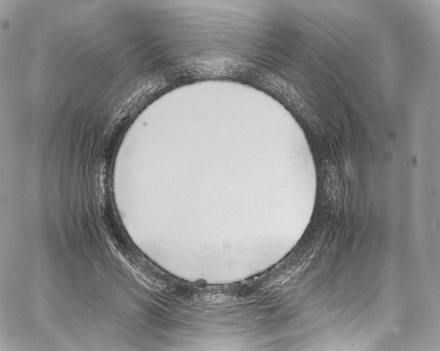 X0000067000590200604241406