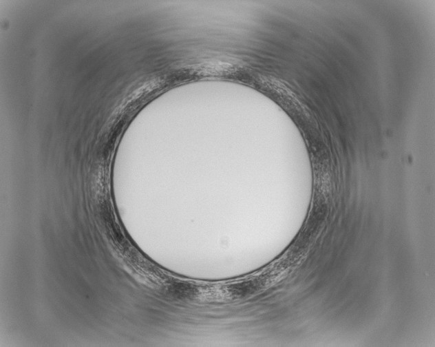 X0000067000591200604241406