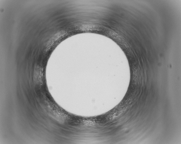 X0000067000592200604241406