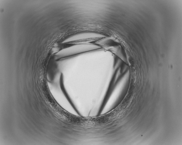 X0000067000593200604241406