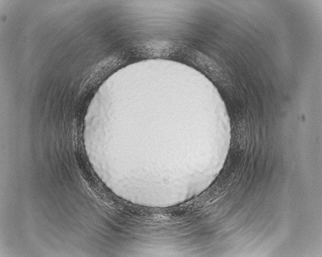 X0000067000594200604241406