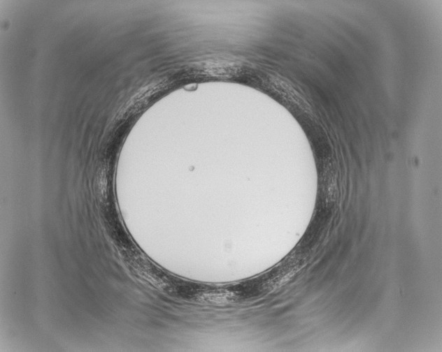 X0000067000595200604241406