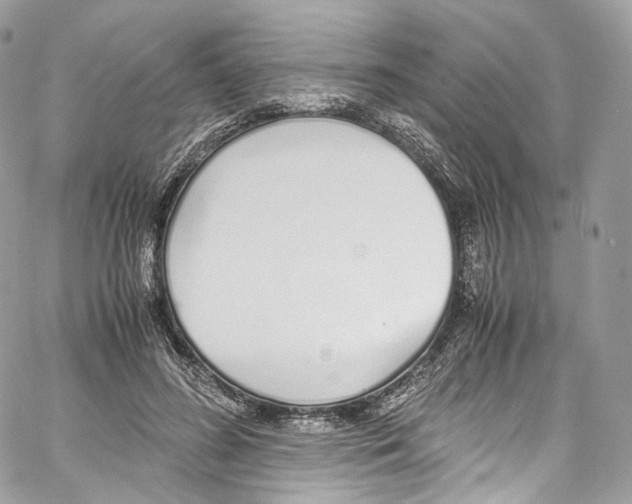 X0000067000596200604241406