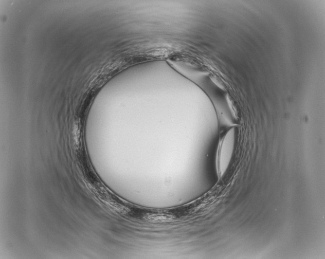 X0000067000597200604241406