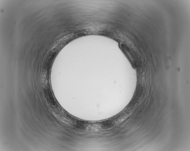 X0000067000599200604241406