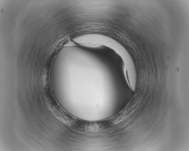 X0000067000600200604241406