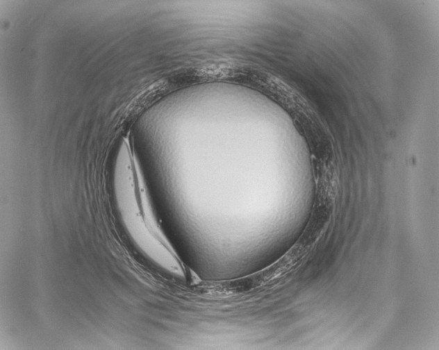 X0000067000601200604241406