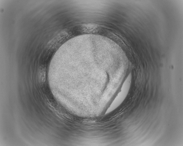 X0000067000602200604241406