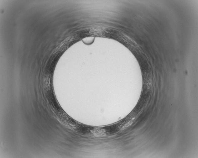 X0000067000603200604241406