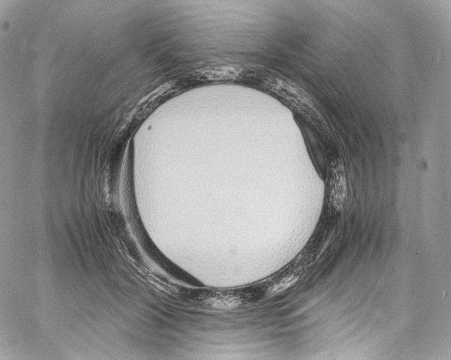 X0000067000604200604241406