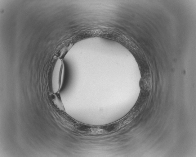 X0000067000605200604241406