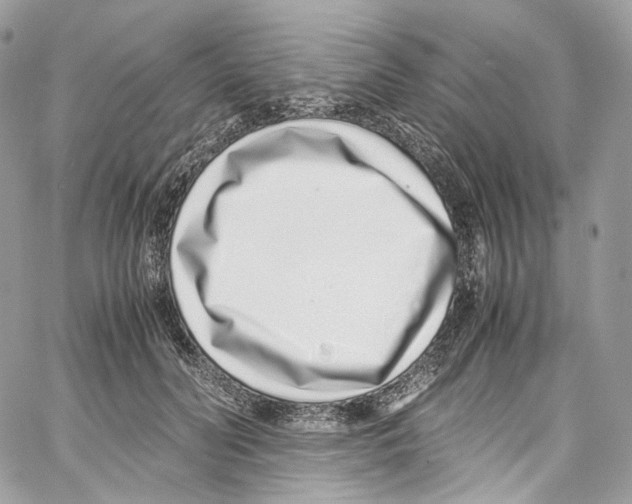 X0000067000606200604241406