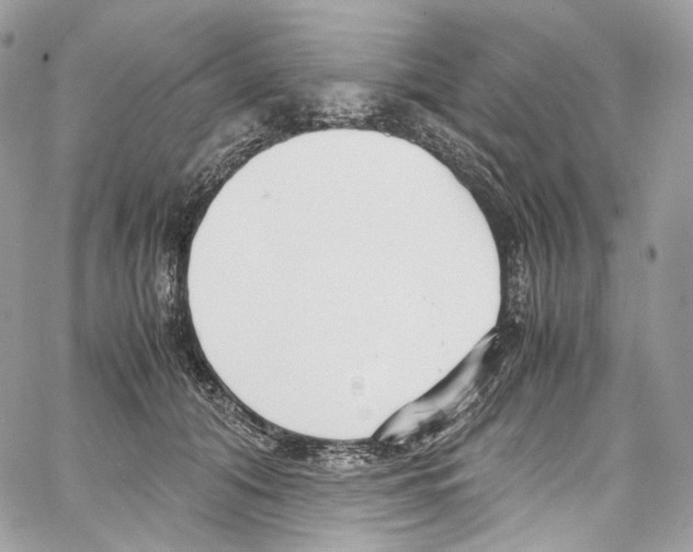 X0000067000608200604241406