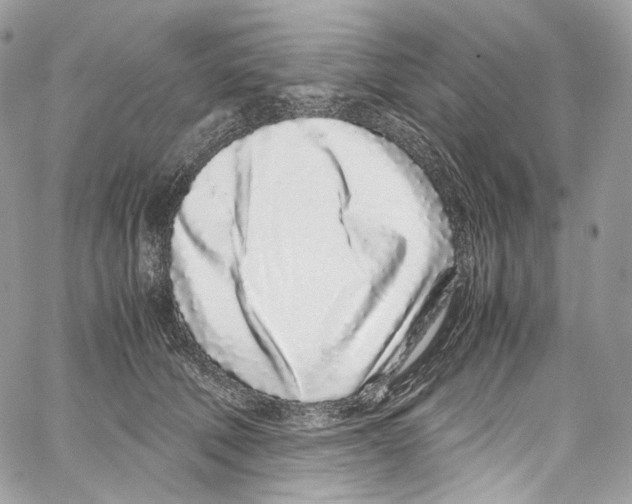 X0000067000610200604241406