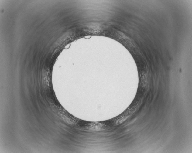 X0000067000612200604241406