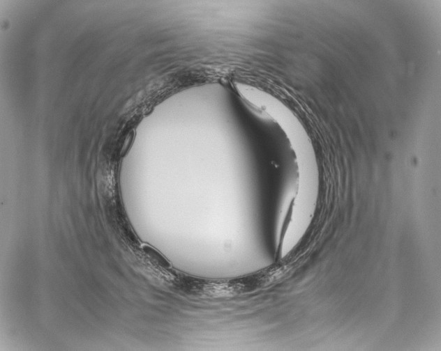 X0000067000613200604241406