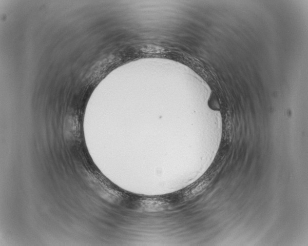 X0000067000614200604241406