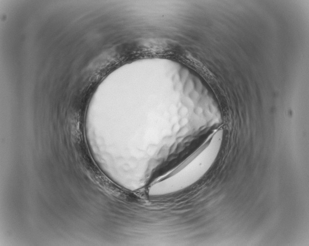 X0000067000615200604241406