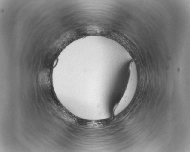 X0000067000616200604241406