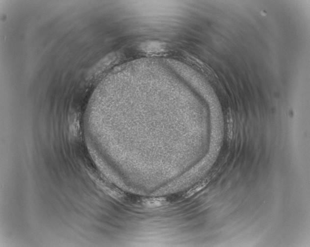 X0000067000618200604241406