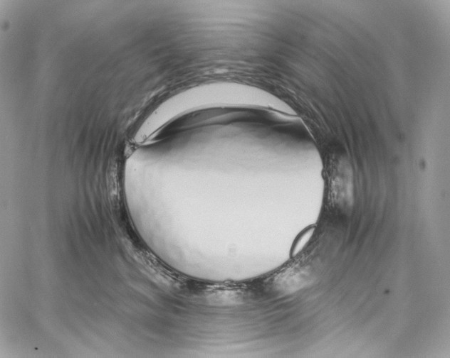 X0000067000620200604241406